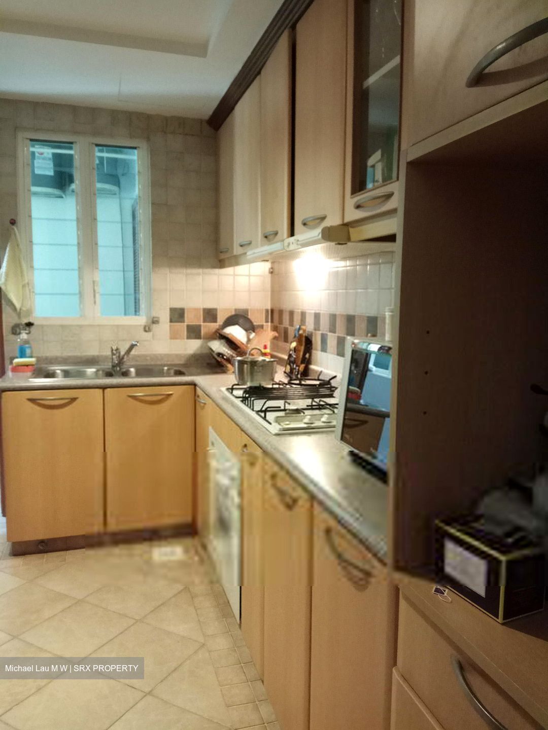Emerald Garden (D1), Condominium #565678621